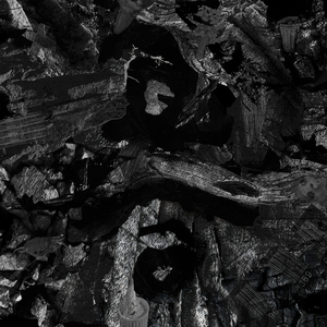 麻豆精品一起草
